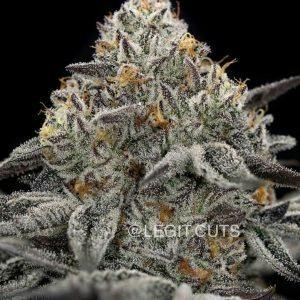 Propaganda | Blappin Berriez | Flower, 1 Oz (28.0 grams)