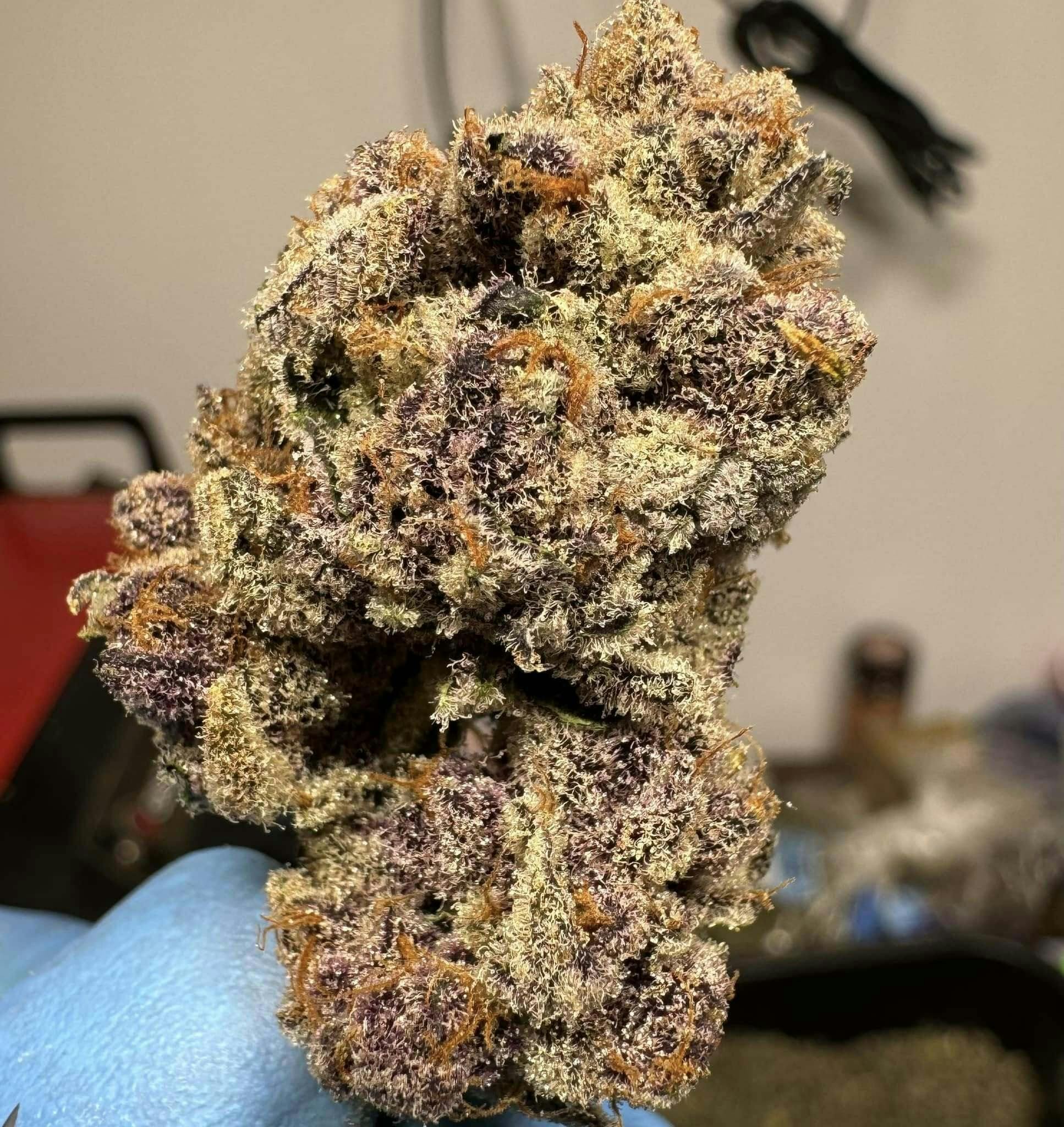 GRG | Purple Kool Aid | Flower, 1 Oz (28 Grams)