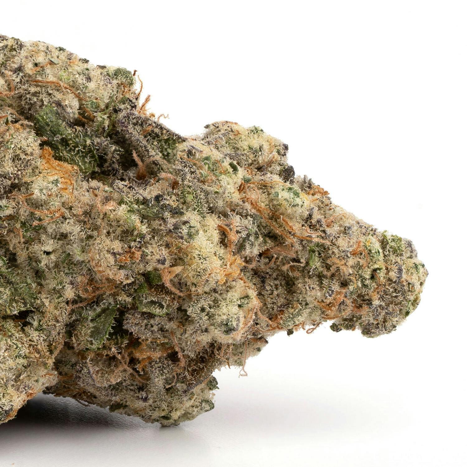Propaganda | Bananaconda | Flower | Bulk/Deli