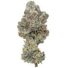 Propaganda | Pure Michigan | Flower | Bulk/Deli