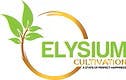 Elysium | Wingsuit | Flower | Bulk/Deli