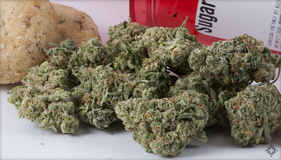 CF | Sugar Cookie | Flower | Bulk/Deli