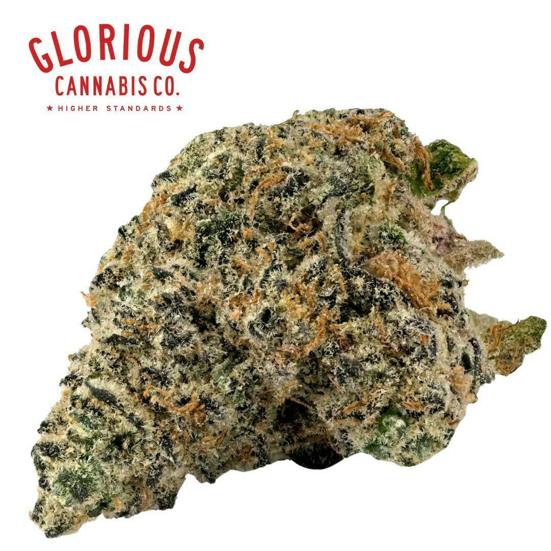 Glorious | Grandpa's RPG | Flower | Bulk/Deli
