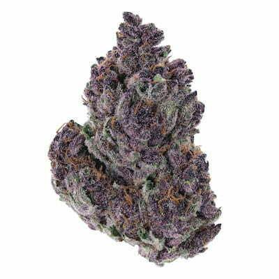 Grandaddy Purple