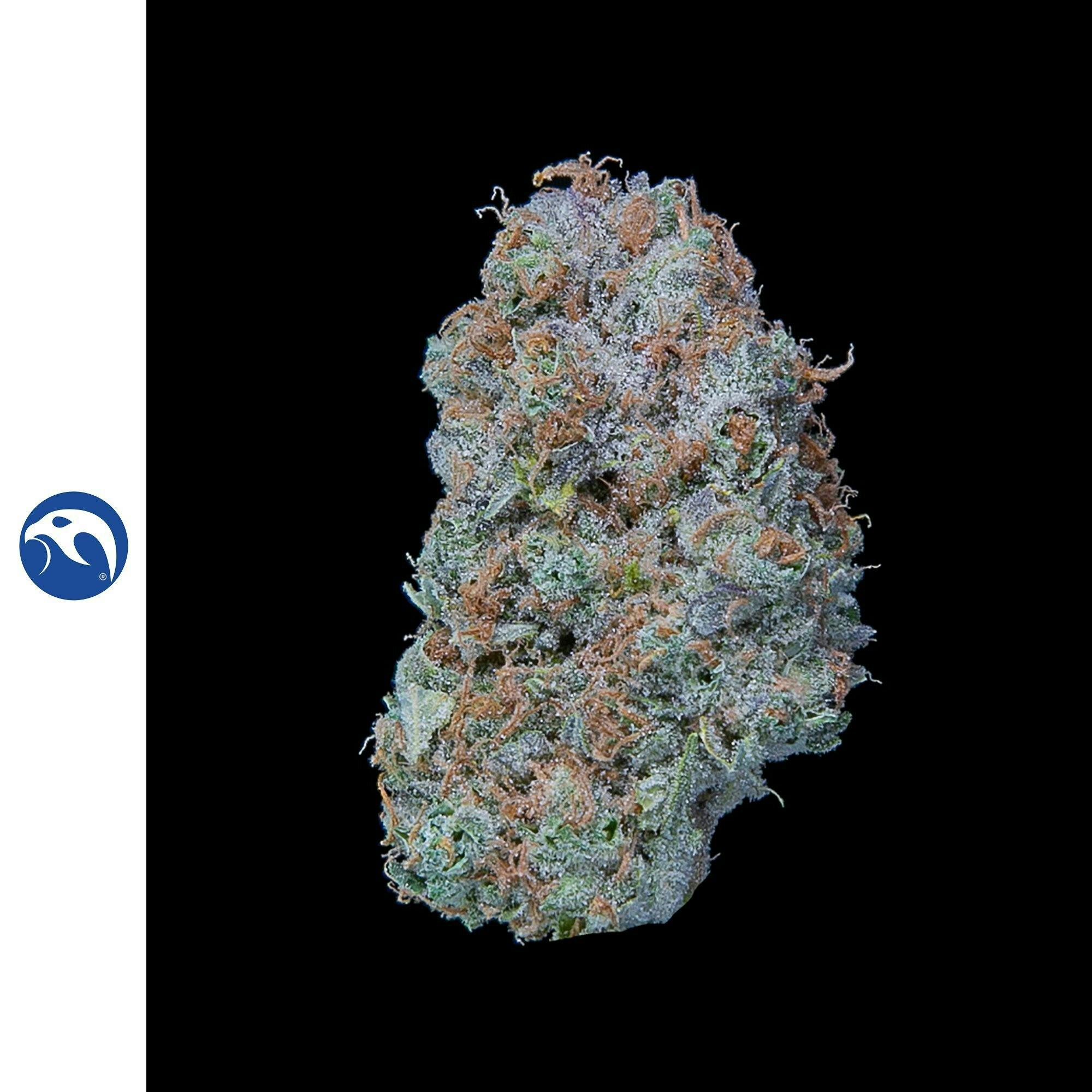 Dutch Haze