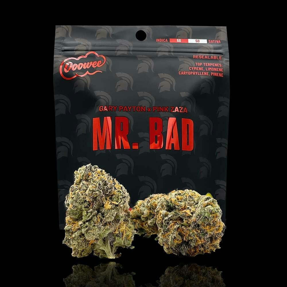 Mr. Bad