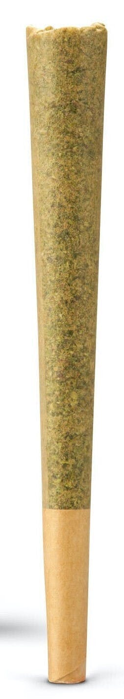 ORANGE CHEM COOKIES - 1G at Hikers Cannabis