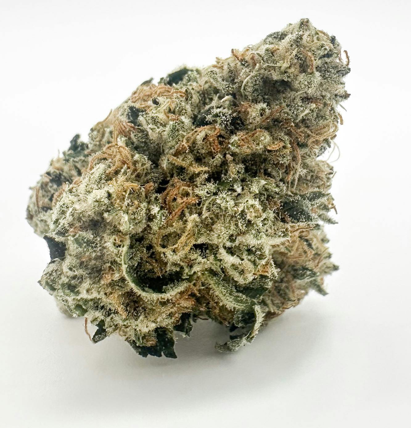 ORANGE CHEM COOKIE - 28G