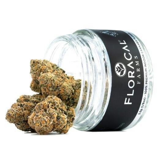 FloraCal Farms - Morning Dew - Flower - [3.5g]
