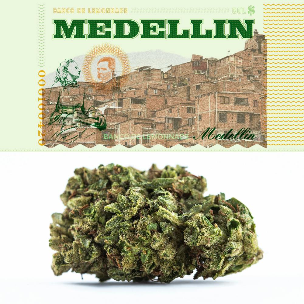 Cookies - Medellin - Flower - [3.5g]
