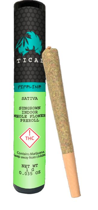 Tical Pipeline Preroll 1 g