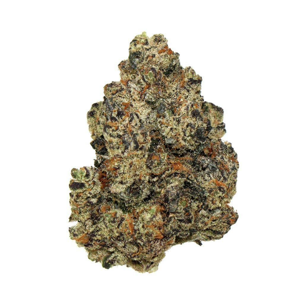 Green Dragon (CO) Gold Zour Patch Kidz 3.5 g