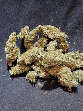 Durban Poison