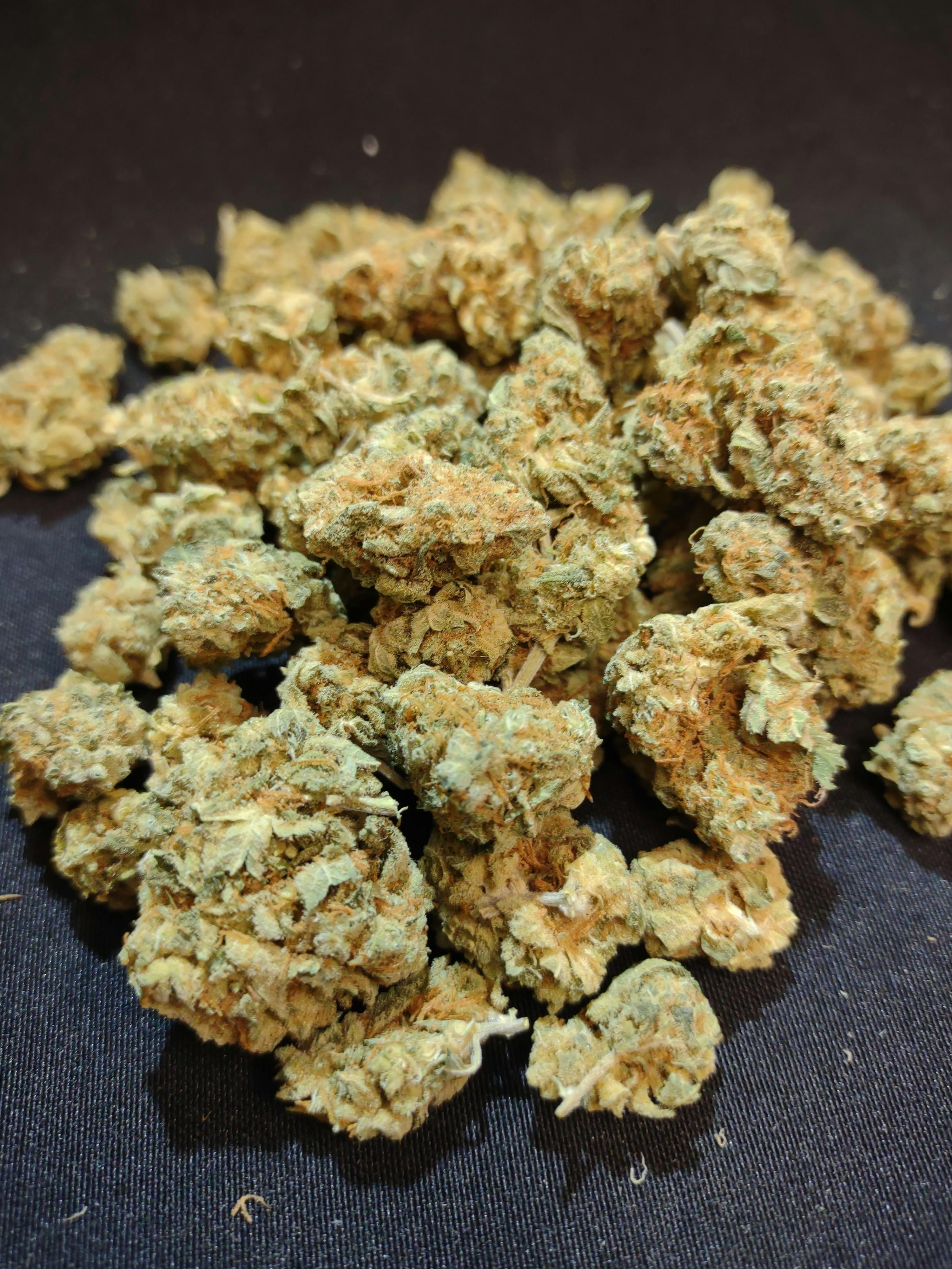 Sebago Lake Haze at Lakewood Cannabis