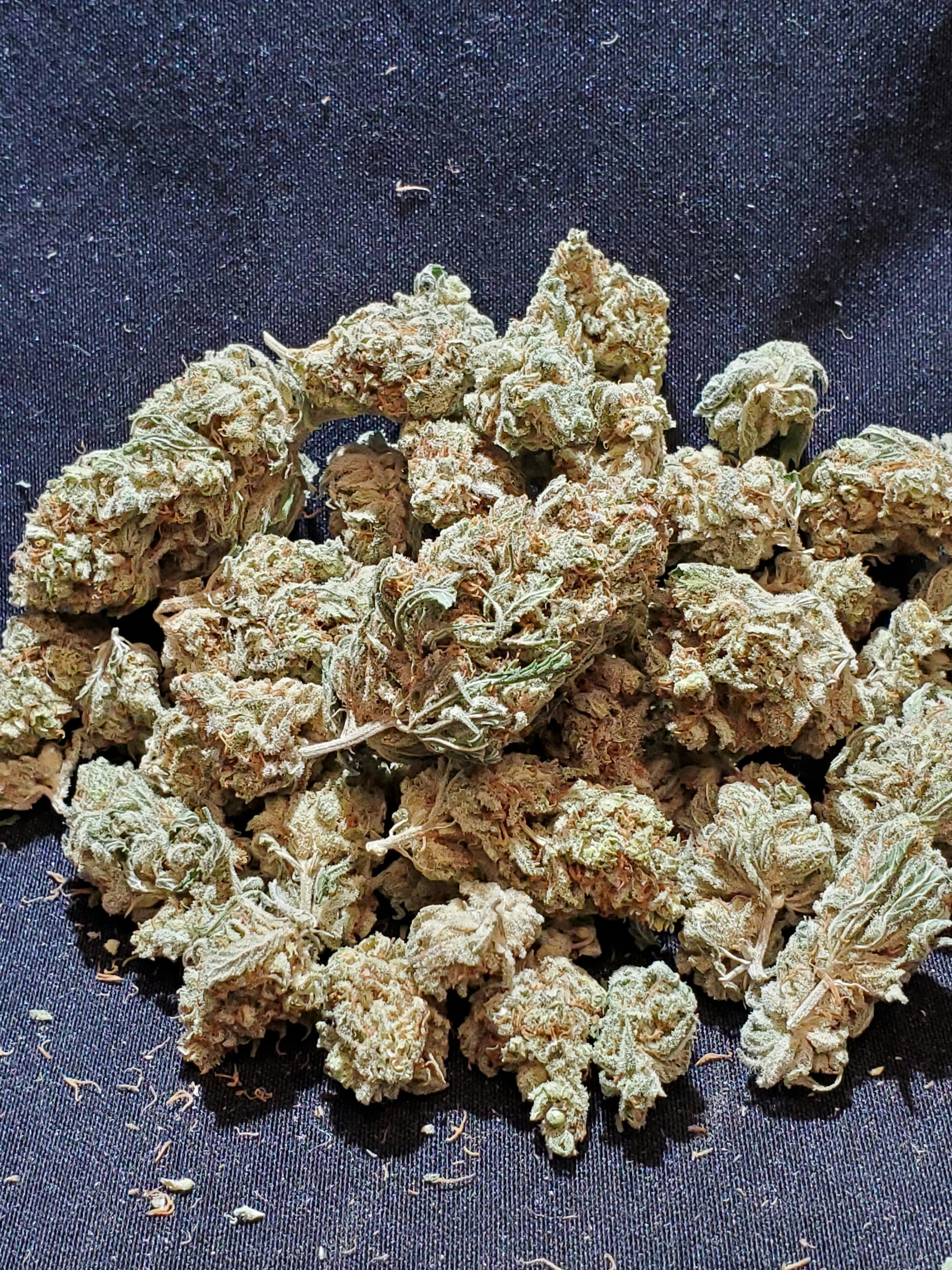 Jack Herer at Lakewood Cannabis