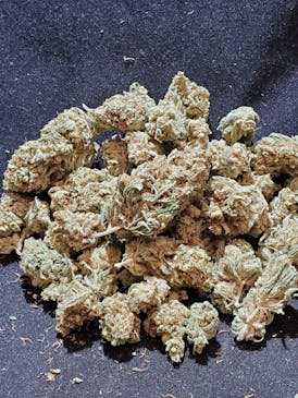 Jack Herer