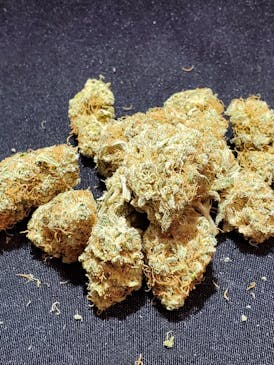 Acapulco Gold