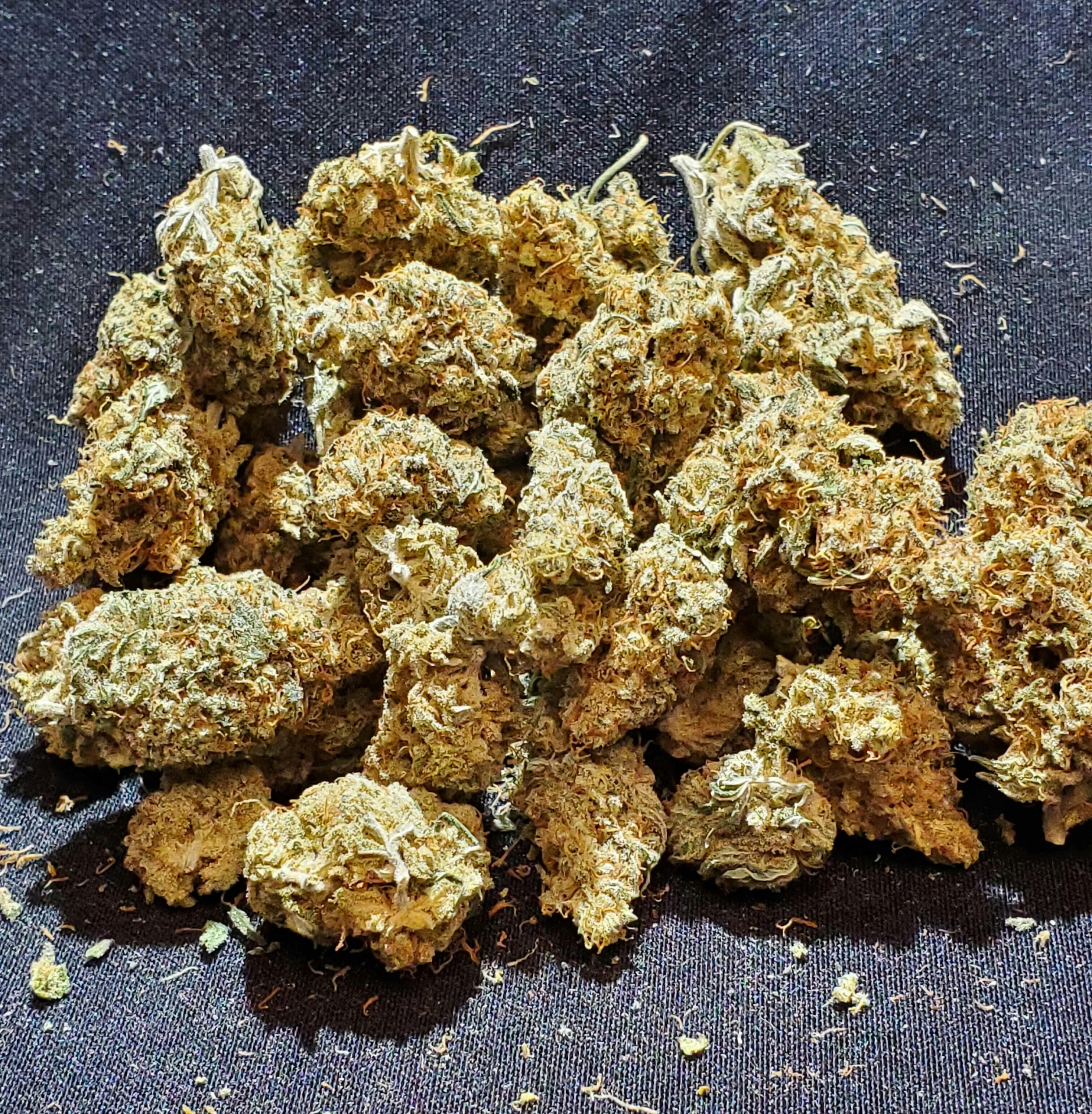 Sugar Black Rose at Lakewood Cannabis