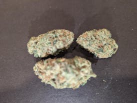 Lemon Cherry Gelato Bulk Flower