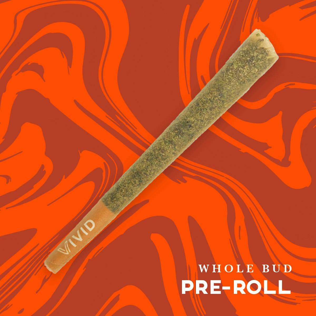 Florida Mintz | PreRoll