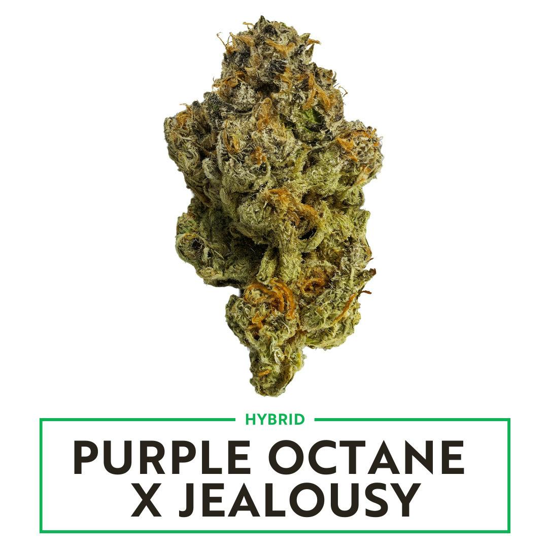 Purple Octane x Jealousy | Budlets