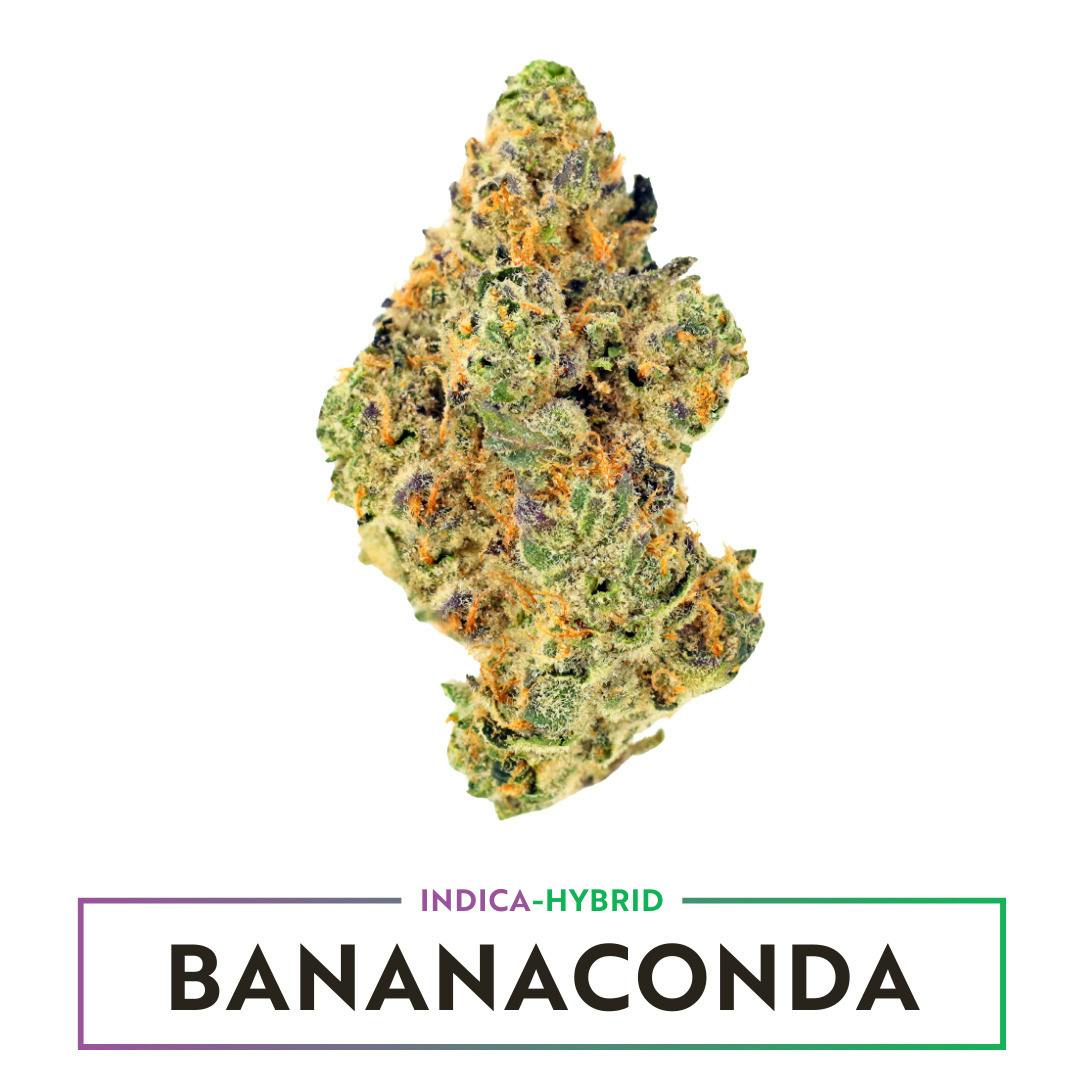 Bananaconda