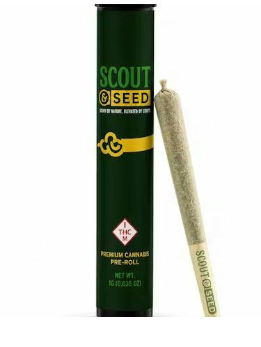 Apple Water | PreRoll