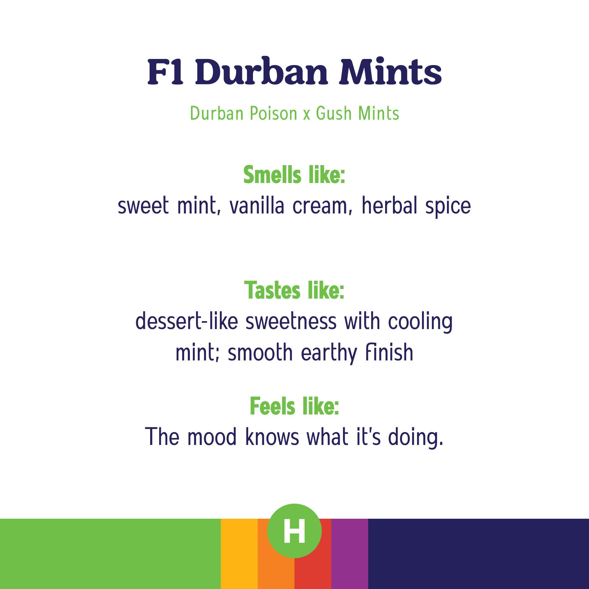 F1 Durban Mints Sugar