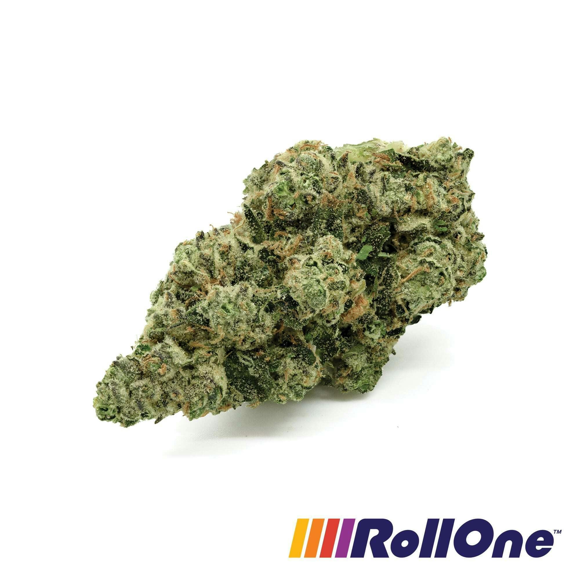 Banana Cream Cake x Jealousy Flower