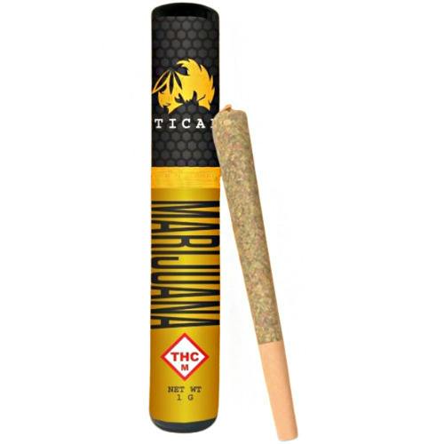 TICAL Headbanger Boogie Pre-Roll