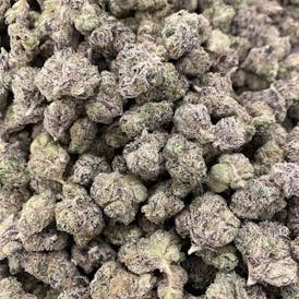Baby Lemon Cherry Gelato