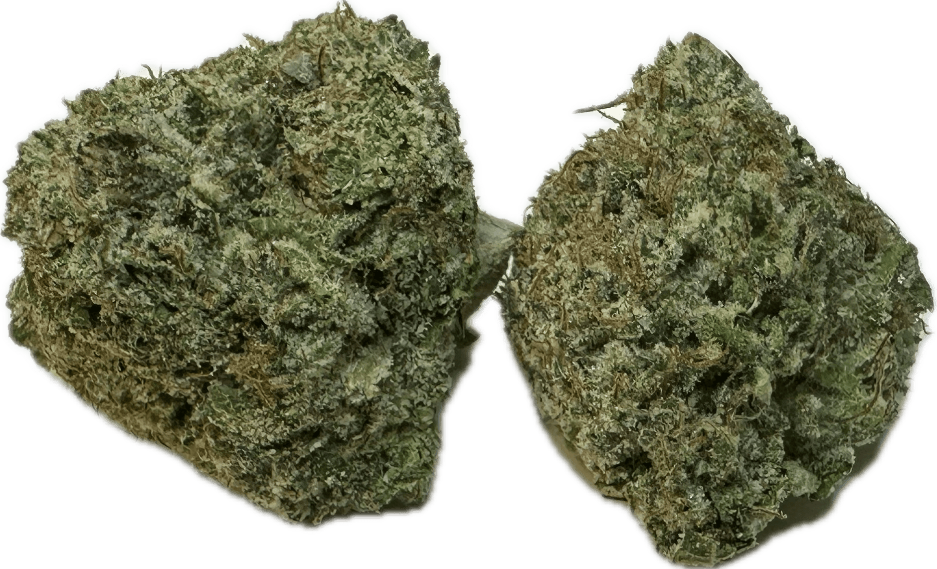 Hs Lemon Cherry Gelato
