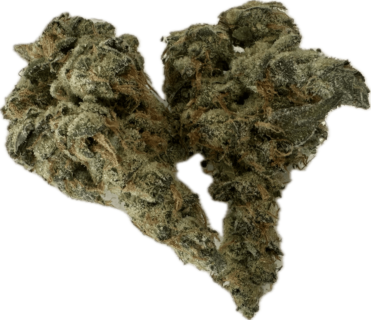 BR 3.5g - GMO