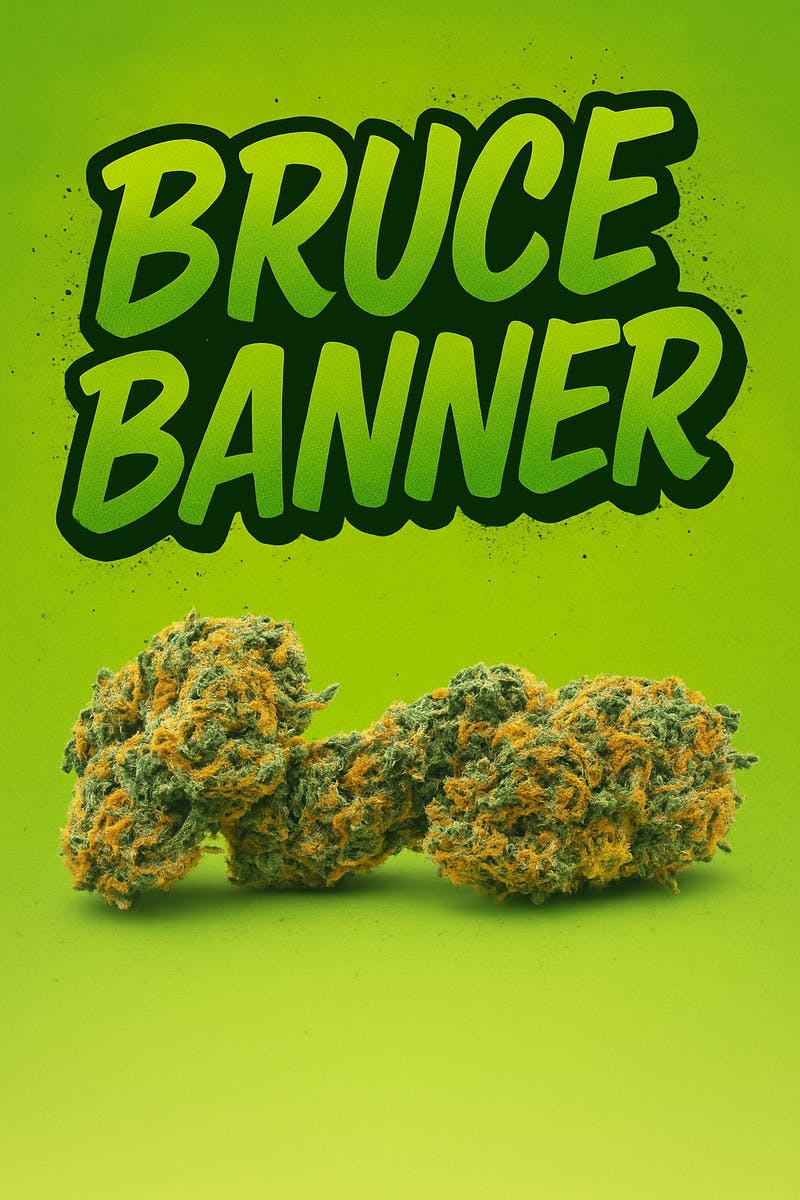 Tier 2 - Bruce Banner -