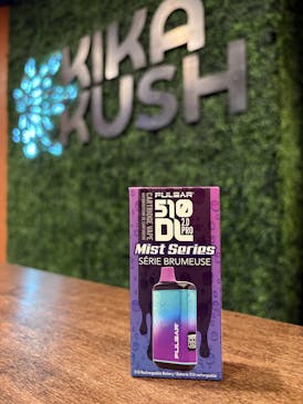 Pulsar DL Pro Battery
