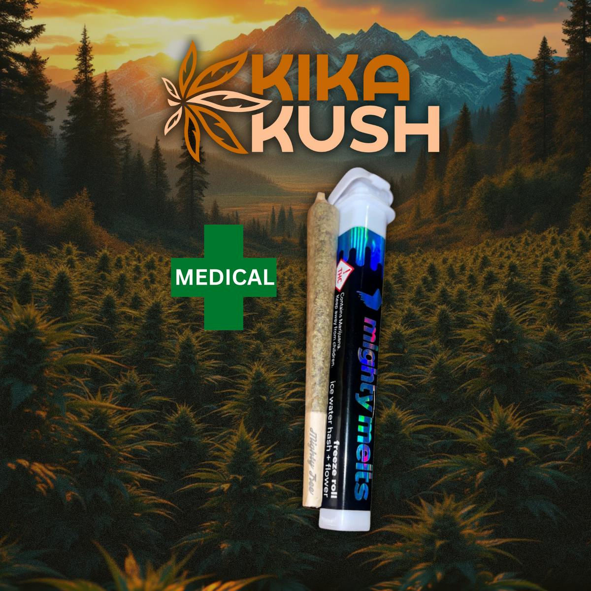 Mighty Melts - Freeze Roll - 1g - Beam Me Up
