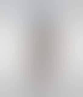 Skywalker Presidential Infused BLUNT 1.5g