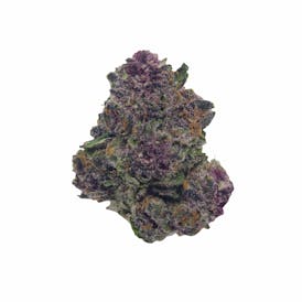 Black Cherry Gelato