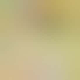 Wedding Cake PRG Live Rosin Disposable 0.5g