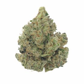 Mississippi Half Step