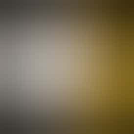 Skywalker OG Black Cat $65 Oz Deal