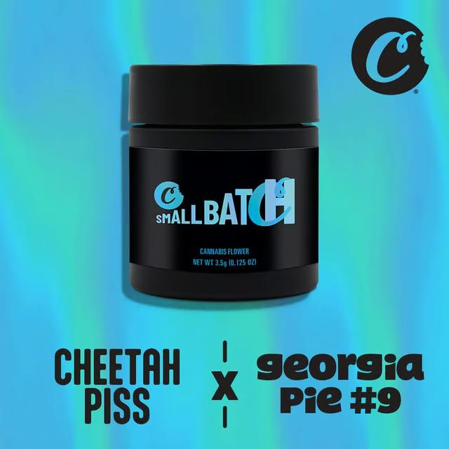 COOKIES SMALL BATCH | CHEETAH PISS X GEORGIA PIE #9 | 3.5G FLOWER