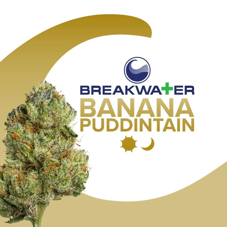 [MED] BREAKWATER | BANANA PUDDINTAIN | 3.5G FLOWER