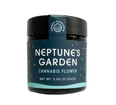 NEPTUNE'S GARDEN | NIGHTMARE RUNTZ | 3.5G | FLOWER