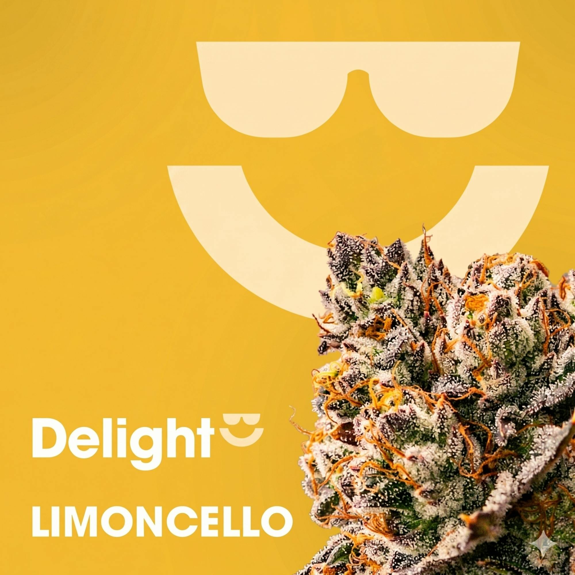 DELIGHT | LIMONCELLO | 3.5G FLOWER