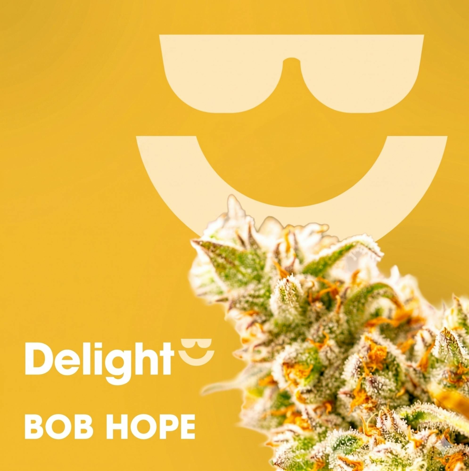 DELIGHT | BOB HOPE | 3.5G | FLOWER