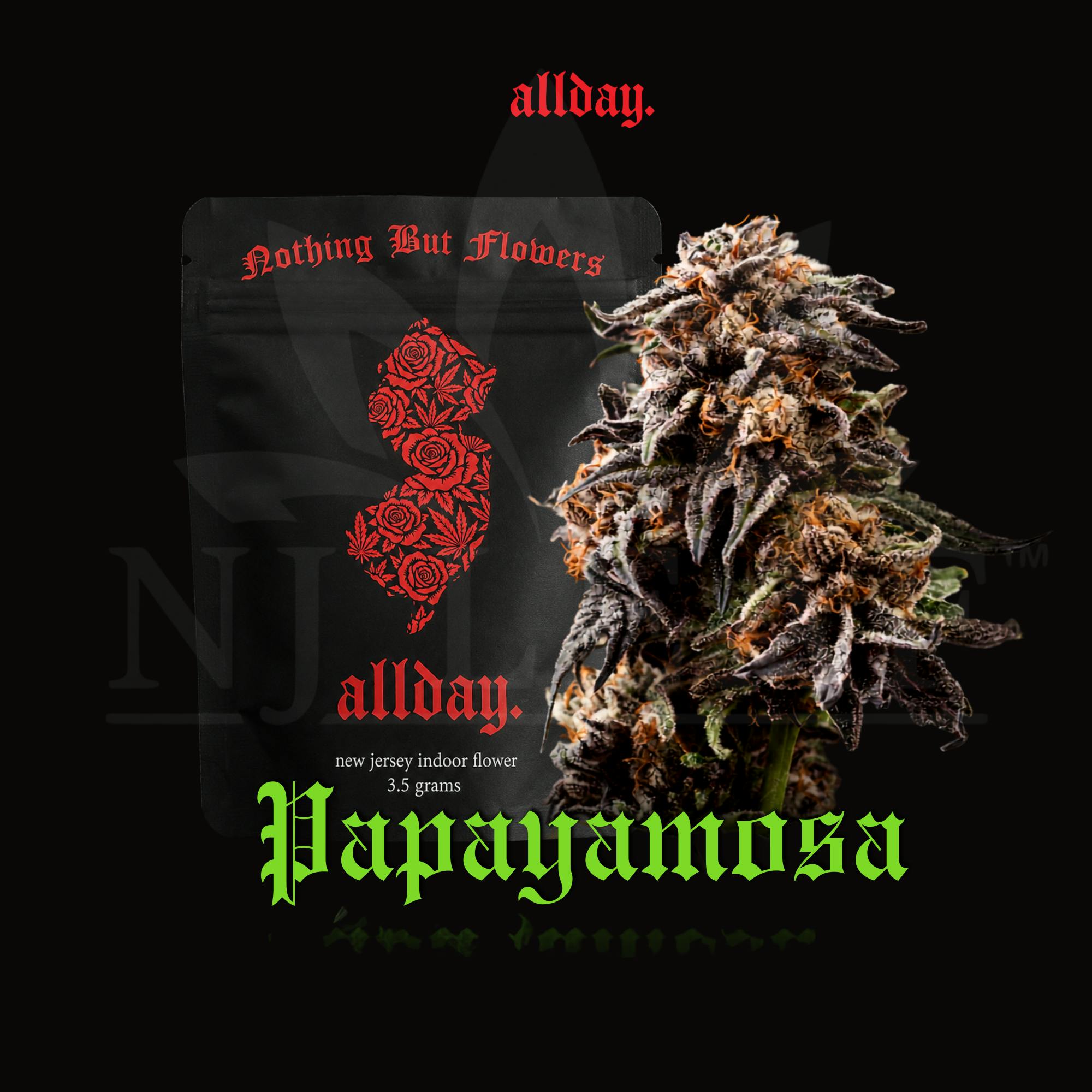 ALLDAY | PAPAYAMOSA | 3.5G | FLOWER