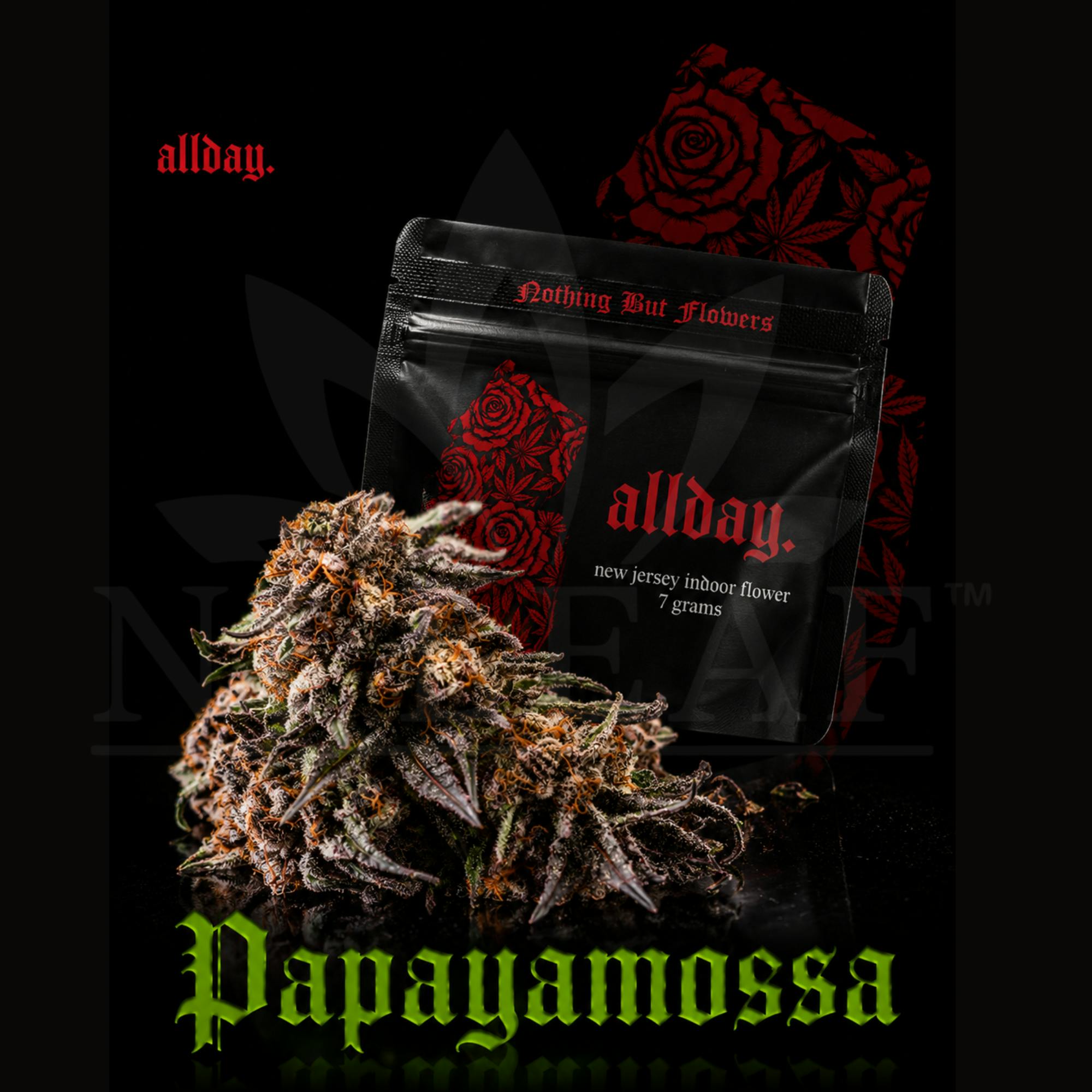 ALLDAY | PAPAYAMOSA | 7G | FLOWER