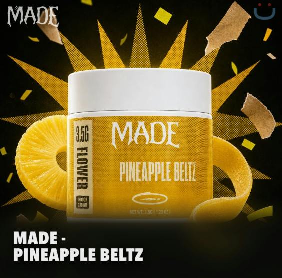 Pineapple Beltz