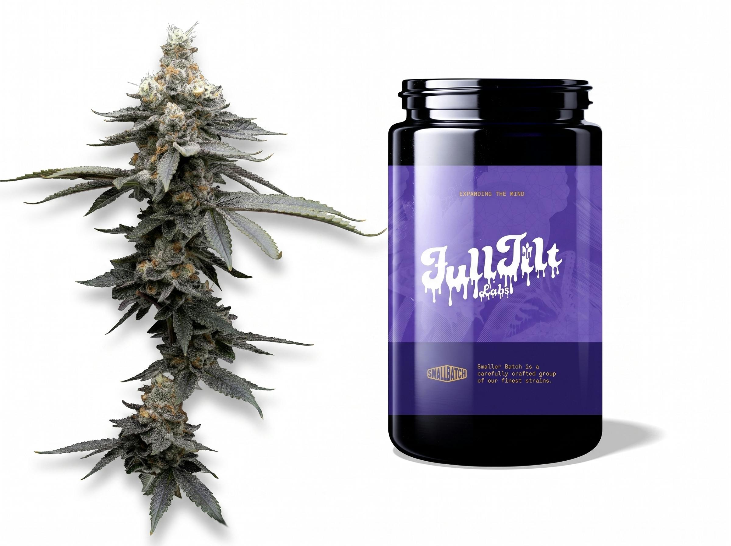 Fulltilt Labs Riptide Rush